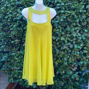 Gorgeous  Tahari Dress